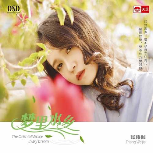 张玮伽《梦里水乡DSD》天艺文化 [低速原抓WAV+CUE][874M]