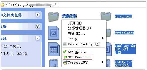 图文讲解在BAE上搭建WordPress站点的教程